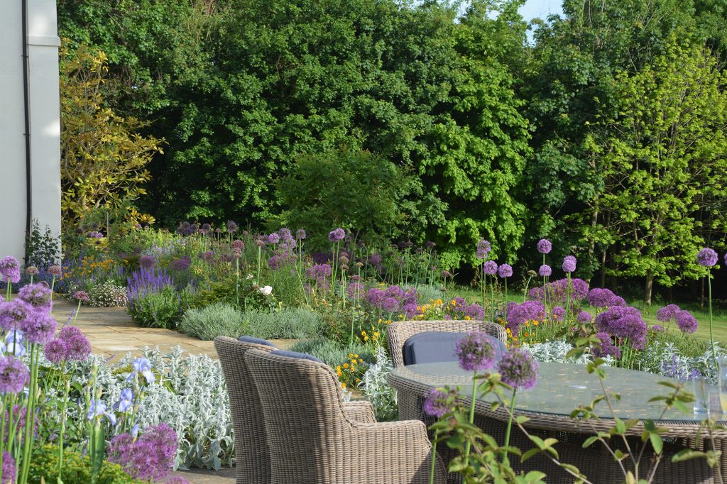 Garden scene with dining table and chairs in the foreground, surrounded by purple alliums and set against a background of shrubs and trees.