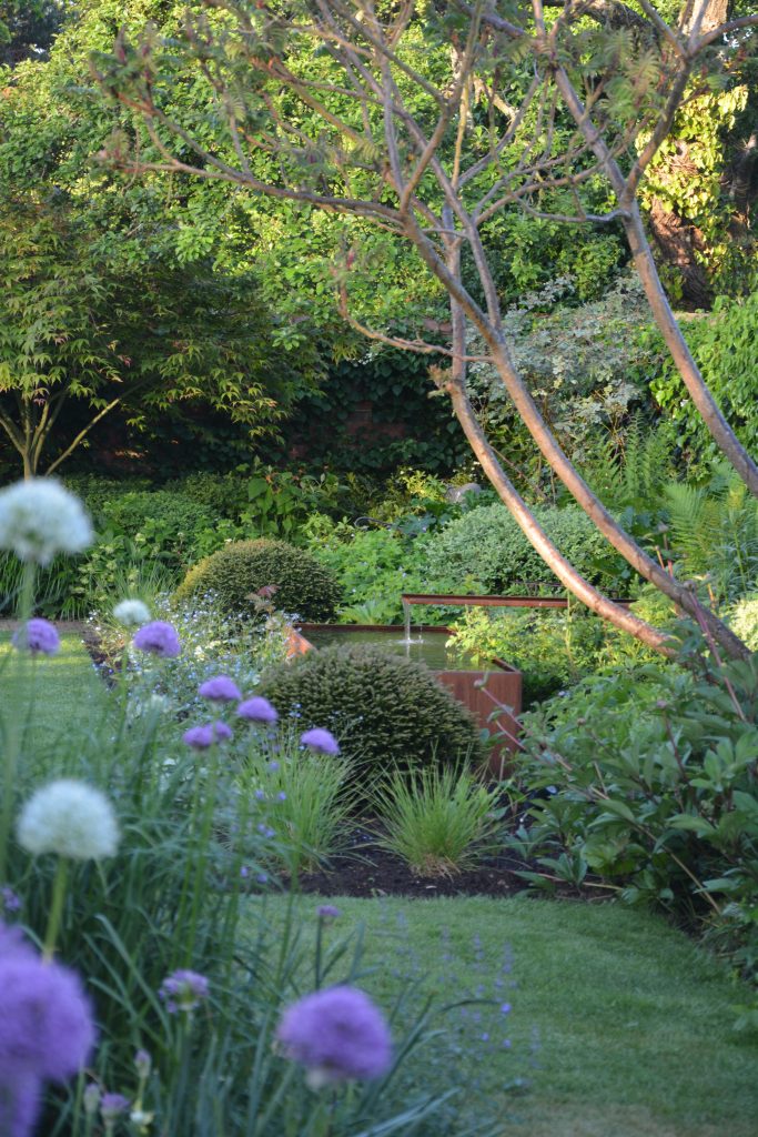 Garden scene with alliums in the foreground, backed by lawn and an abundant border with a variety of plants.