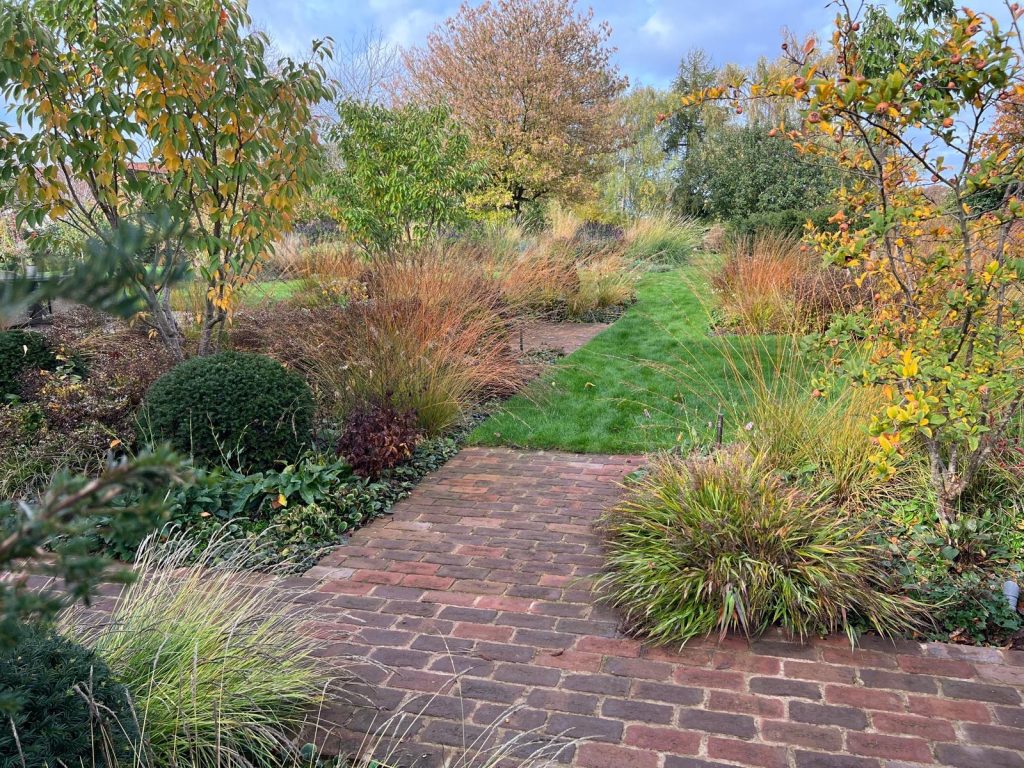 Naturalistic planting scene with paved area in foreground.