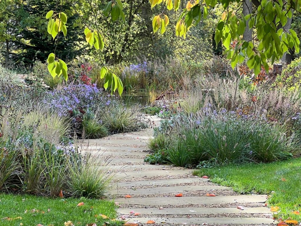 Garden scene with naturalistic planting and tree leaves hanging in foreground.